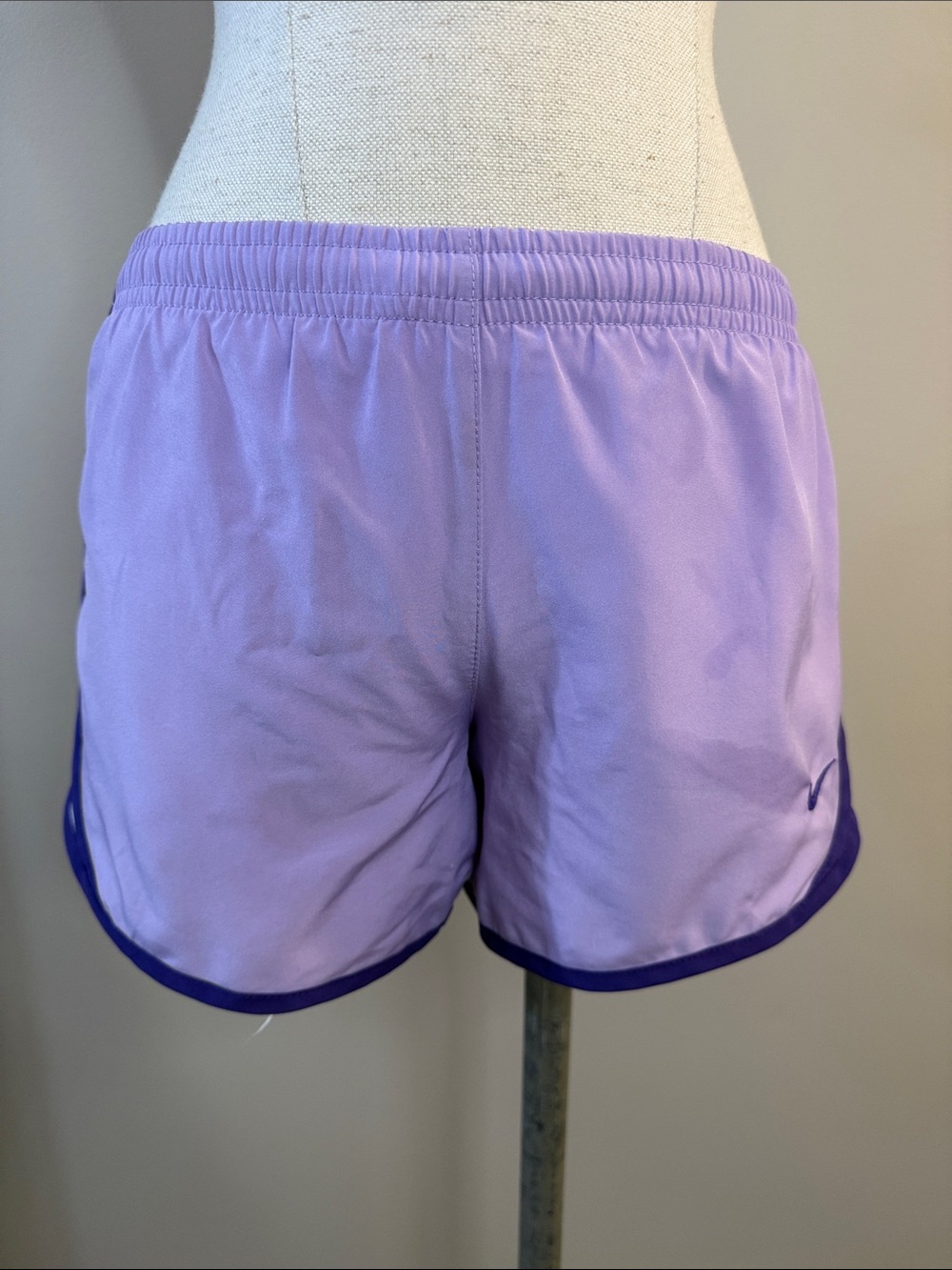 Nike Women's Lavender Athletic Shorts with Dark Purple Trim